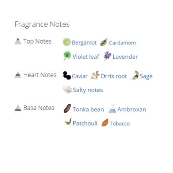 عطر ادکلن مردانه دیزل بد