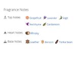 عطر ادکلن مردانه سی اچ من پرایو