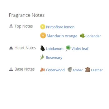 عطر ادکلن مردانه دیزل آنلی د بریو