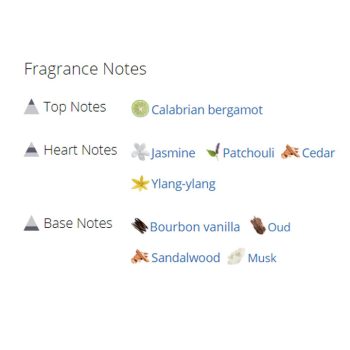 عطر ادکلن مردانه و زنانه میلیزیم