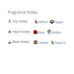 عطر ادکلن مردانه و زنانه دیویدوف لدر بلند