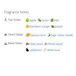 عطر ادکلن مردانه دیویدف کول واتر دیپ