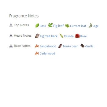 عطر ادکلن مردانه دیور دان