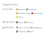 عطر ادکلن مردانه کارولینا هررا شیک مردانه