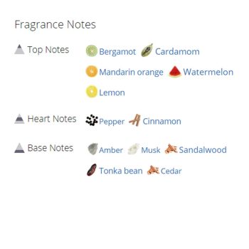 عطر ادکلن مردانه کارولینا هررا شیک مردانه