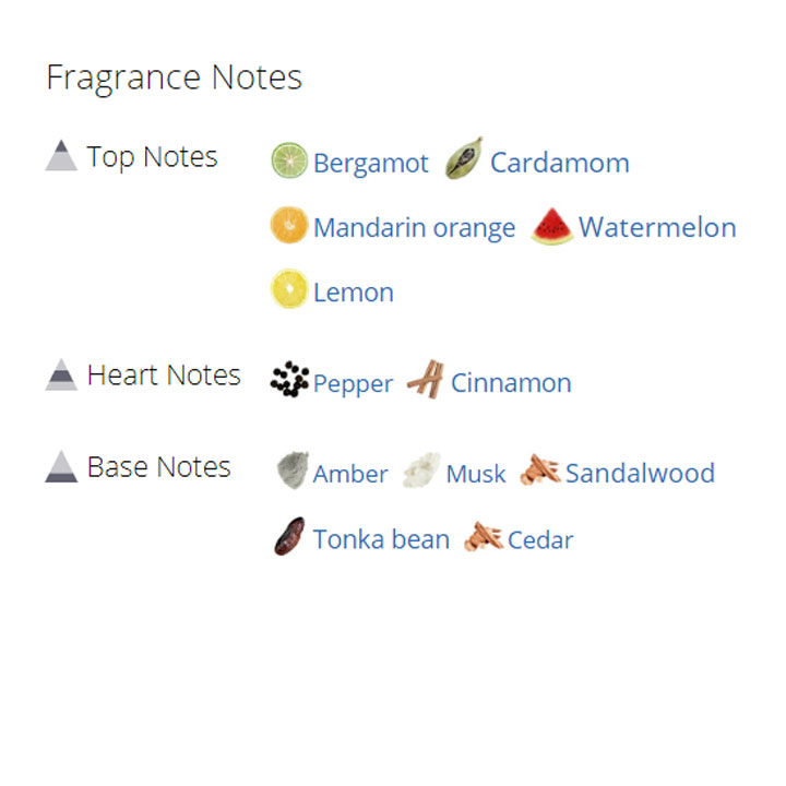 عطر ادکلن مردانه کارولینا هررا شیک مردانه عطر ادکلن مردانه کارولینا هررا شیک مردانه