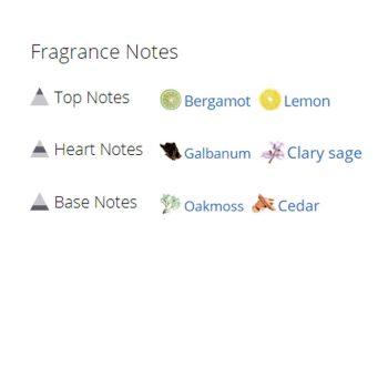 عطر ادکلن مردانه دیویدف چمپیون