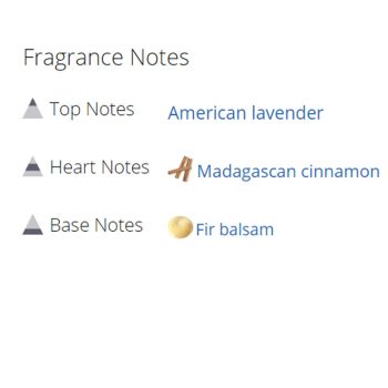 عطر ادکلن مردانه دیویدوف ران وایلد مردانه