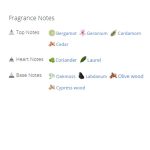 عطر ادکلن مردانه فندی لایف اسنس