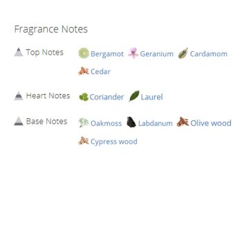 عطر ادکلن مردانه فندی لایف اسنس