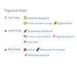 عطر ادکلن مردانه فَندی فندی پور هوم