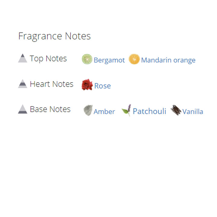 عطر ادکلن زنانه دیور میدنایت پویزن عطر ادکلن زنانه دیور میدنایت پویزن