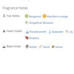 عطر ادکلن مردانه و زنانه سی کی آل