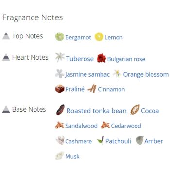 دانه تونکا برشته، کاکائو، عنبر، کشمیر، چوب سدر، مشک، چوب صندل