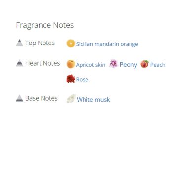 عطر ادکلن زنانه میس دیور بلومینگ بوکت