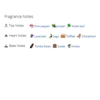 عطر ادکلن مردانه استرانگر ویت یو اینتنسلی