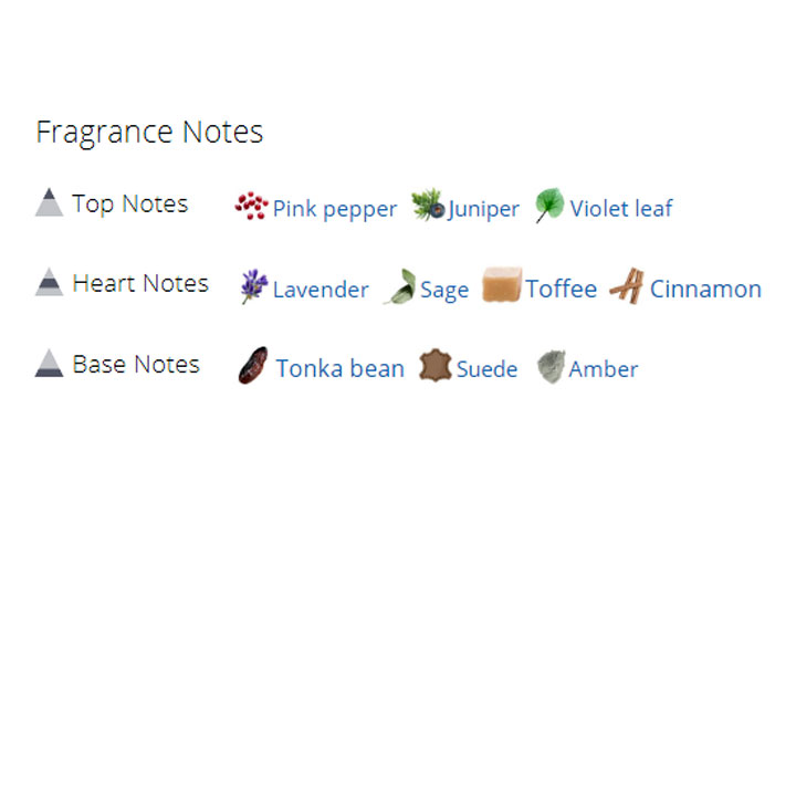 عطر ادکلن مردانه استرانگر ویت یو اینتنسلی عطر ادکلن مردانه استرانگر ویت یو اینتنسلی