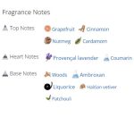 عطر ادکلن مردانه  سواژ الکسیر