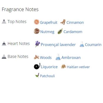 عطر ادکلن مردانه سواژ الکسیر