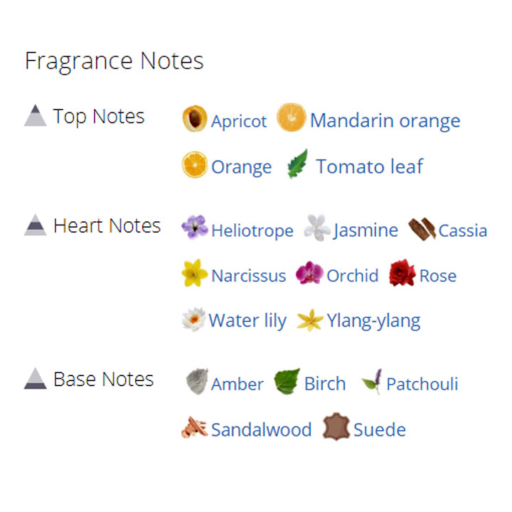 عطر ادکلن زنانه دی کی ان وای زنانه عطر ادکلن زنانه دی کی ان وای زنانه