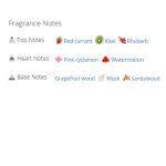 عطر ادکلن زنانه دولچه گابانا آنتولوژی ال ایمپرتریس 3