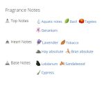 عطر ادکلن مردانه دولچه گابانا پورهوم اینتنسو