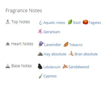 عطر ادکلن مردانه دولچه گابانا پورهوم اینتنسو