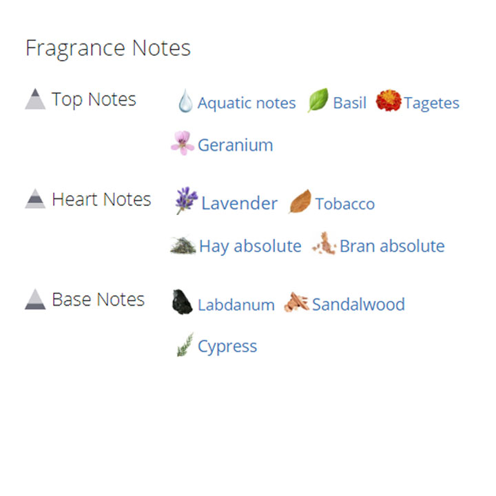 عطر ادکلن مردانه دولچه گابانا پورهوم اینتنسو عطر ادکلن مردانه دولچه گابانا پورهوم اینتنسو