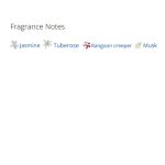 عطر ادکلن زنانه گوچی بلوم