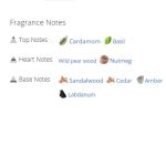 عطر ادکلن مردانه دولچه گابانا د وان رویال نایت