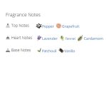 عطر ادکلن مردانه دولچه گابانا دوان جنتلمن