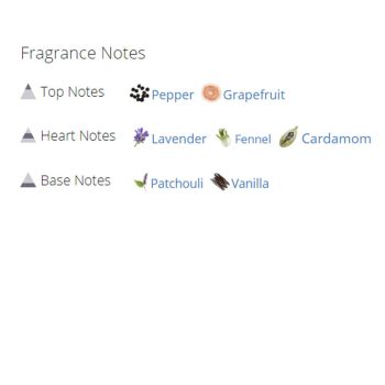 عطر ادکلن مردانه دولچه گابانا دوان جنتلمن