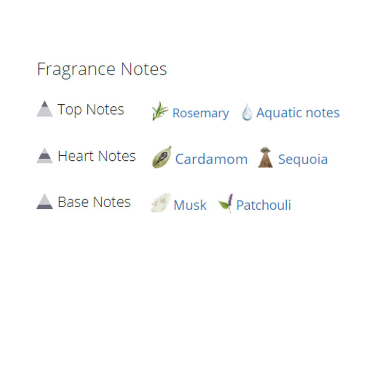 عطر ادکلن مردانه دولچه گابانا دوان اسپرت عطر ادکلن مردانه دولچه گابانا دوان اسپرت