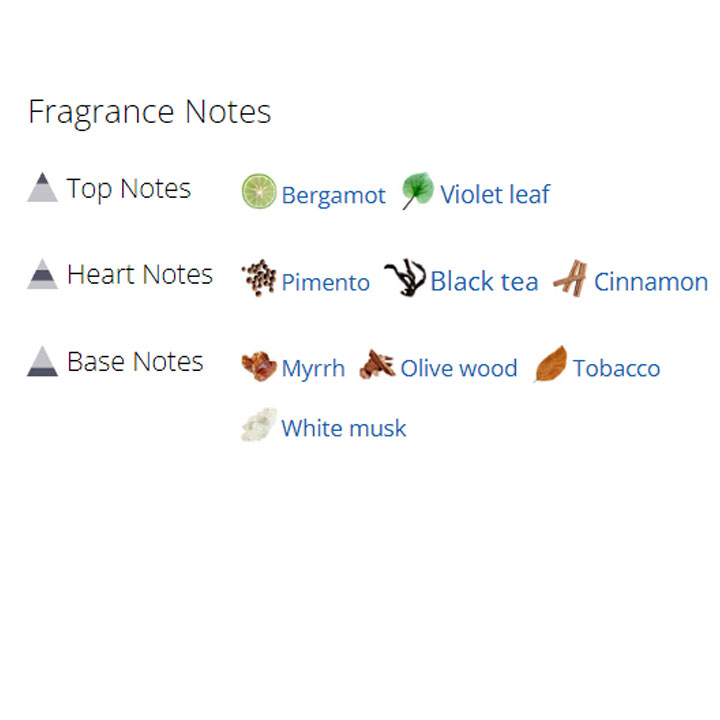 عطر ادکلن مردانه گوچی پورهوم 2 عطر ادکلن مردانه گوچی پورهوم 2