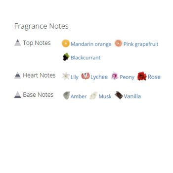 عطر ادکلن زنانه دولچه گابانا دوان رز