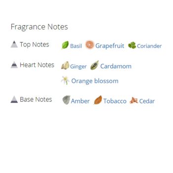 عطر ادکلن مردانه دولچه گابانا دوان