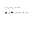 عطر ادکلن مردانه و زنانه دولچه گابانا ولوت وتیور