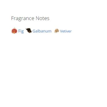 عطر ادکلن مردانه و زنانه دولچه گابانا ولوت وتیور