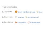 عطر ادکلن زنانه دولچه گابانا پورفم اینتنس