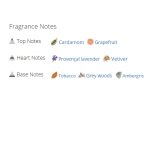 عطر ادکلن مردانه دولچه گابانا د وان گری