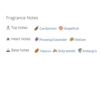 عطر ادکلن مردانه دولچه گابانا د وان گری