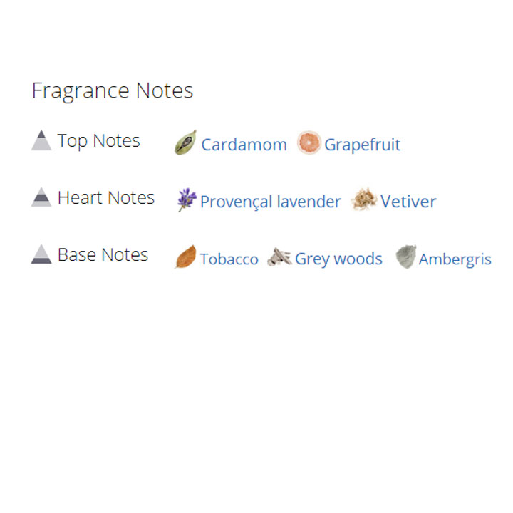 عطر ادکلن مردانه دولچه گابانا د وان گری عطر ادکلن مردانه دولچه گابانا د وان گری