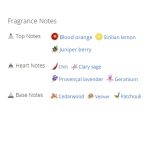 عطر ادکلن مردانه دولچه گابانا کی