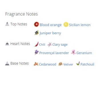 عطر ادکلن مردانه دولچه گابانا کی