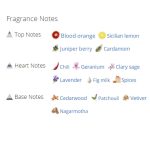 عطر ادکلن مردانه دولچه گابانا کی ادو پرفیوم