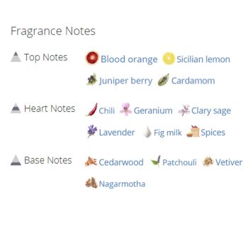 عطر ادکلن مردانه دولچه گابانا کی ادو پرفیوم