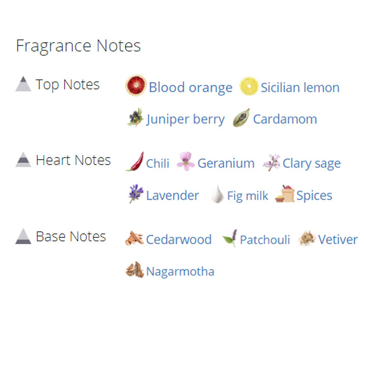 عطر ادکلن مردانه دولچه گابانا کی ادو پرفیوم عطر ادکلن مردانه دولچه گابانا کی ادو پرفیوم