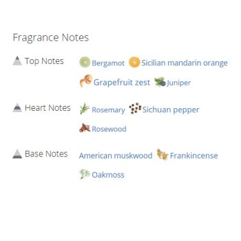 عطر ادکلن مردانه دولچه گابانا لایت بلو مردانه