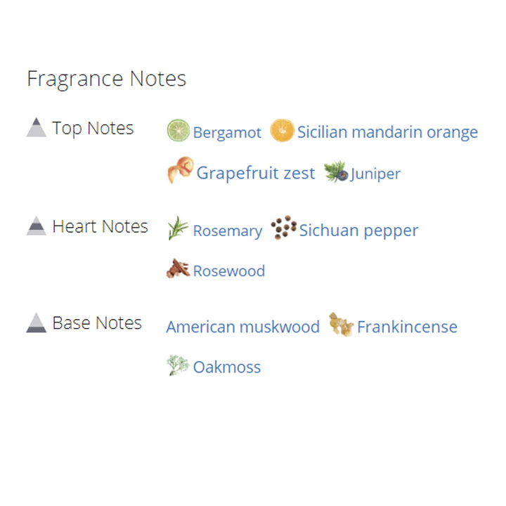 عطر ادکلن مردانه دولچه گابانا لایت بلو مردانه عطر ادکلن مردانه دولچه گابانا لایت بلو مردانه