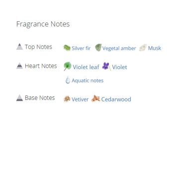 عطر ادکلن مردانه دسکوارد2 هی وود